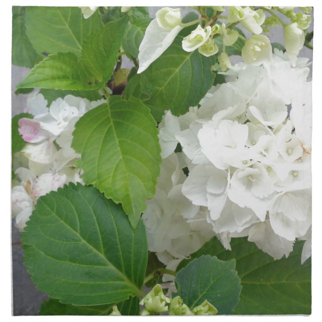 Hydrangea Flower Green White Nature Garden Plants Napkin (Front)