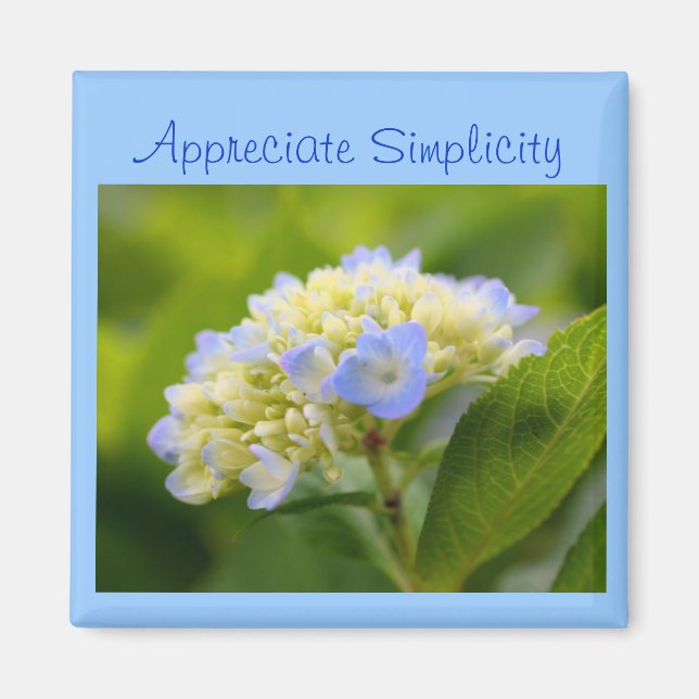 Hydrangea Flower Inspirational Simplicity Magnet (Front)
