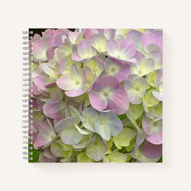 Hydrangea Flower Notebook (Front)