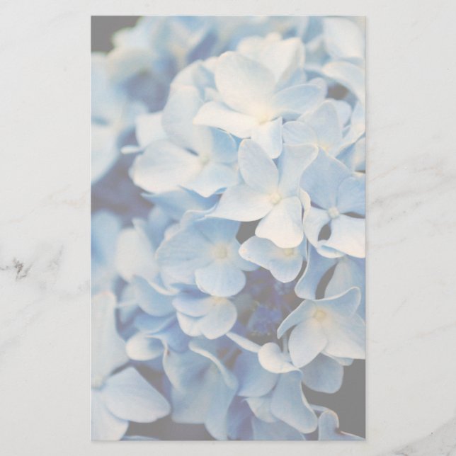 Hydrangea Flower Stationery (Front)