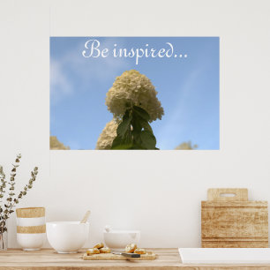 Hydrangea Flowers Blue Sky Poster