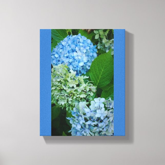 Hydrangea Flowers Canvas Print (Front)