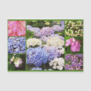 Hydrangea Flowers Collage-TISSUE WRAPPING PAPER