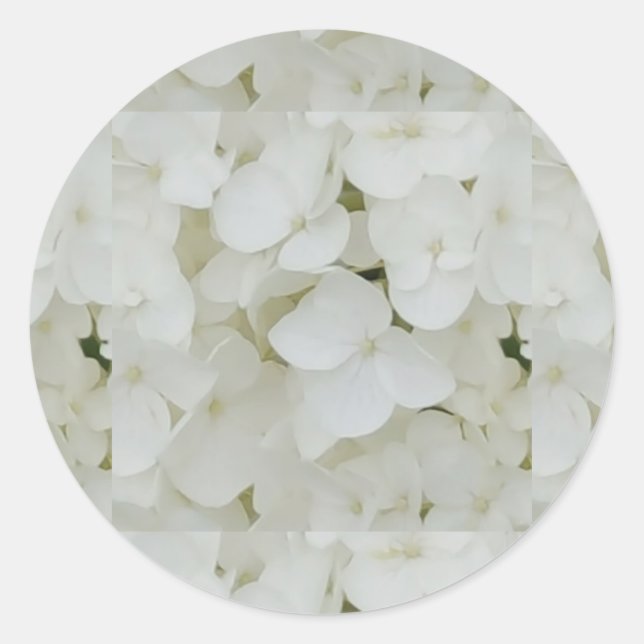 Hydrangea Flowers Floral White Elegant Blossom Classic Round Sticker (Front)