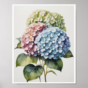 Hydrangea Flowers Handmade Poster Water color