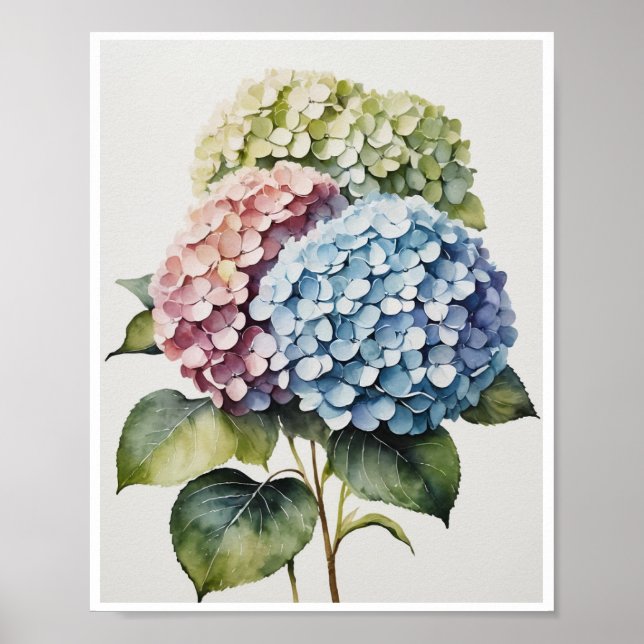 Hydrangea Flowers Handmade Poster Water color  (Front)