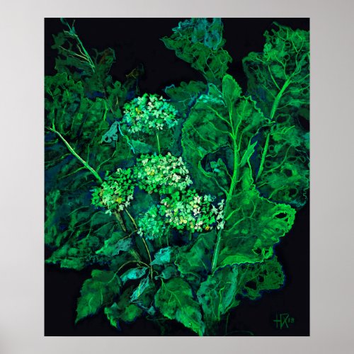 Hydrangea Flowers  Horseradish Floral Black Green Poster