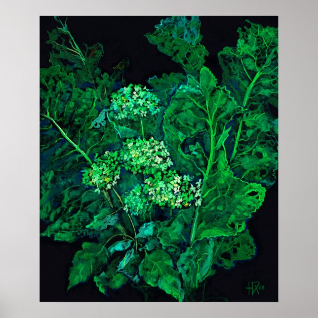 Hydrangea Flowers & Horseradish Floral Black Green Poster (Front)