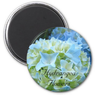 Hydrangea Flowers magnet Blue Hydrangeas Floral