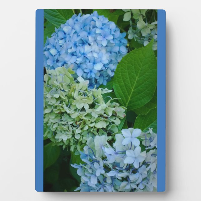 Hydrangea Flowers Plaque (Front)
