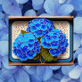 Hydrangea Flowers, Postcrossing Postcard