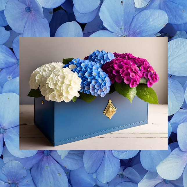 Hydrangea Flowers, Postcrossing Postcard (Creator Uploaded)