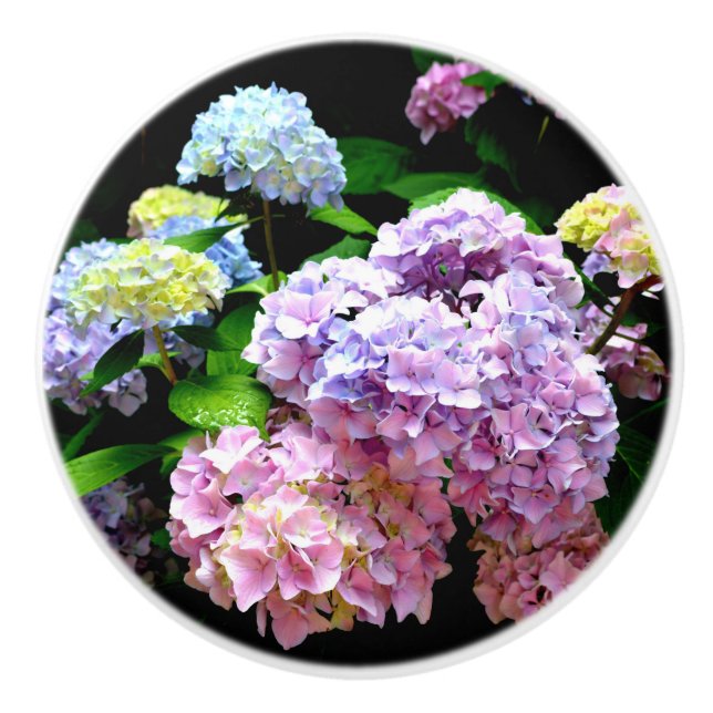 Hydrangea garden, pink, blue, purple floral ceramic knob (Front)