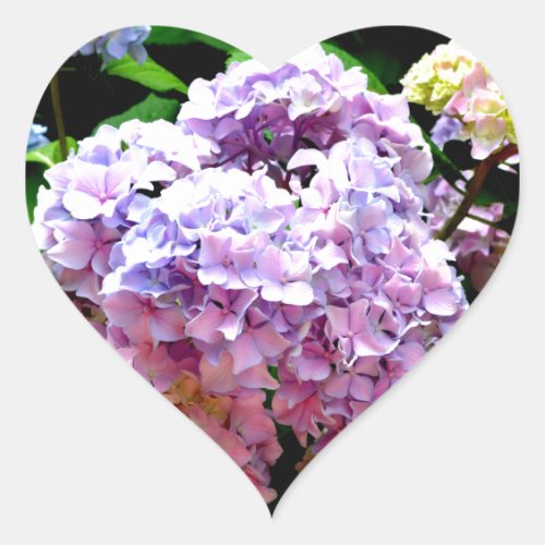 Hydrangea garden pink blue purple floral heart sticker