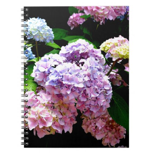 Hydrangea garden pink blue purple floral notebook