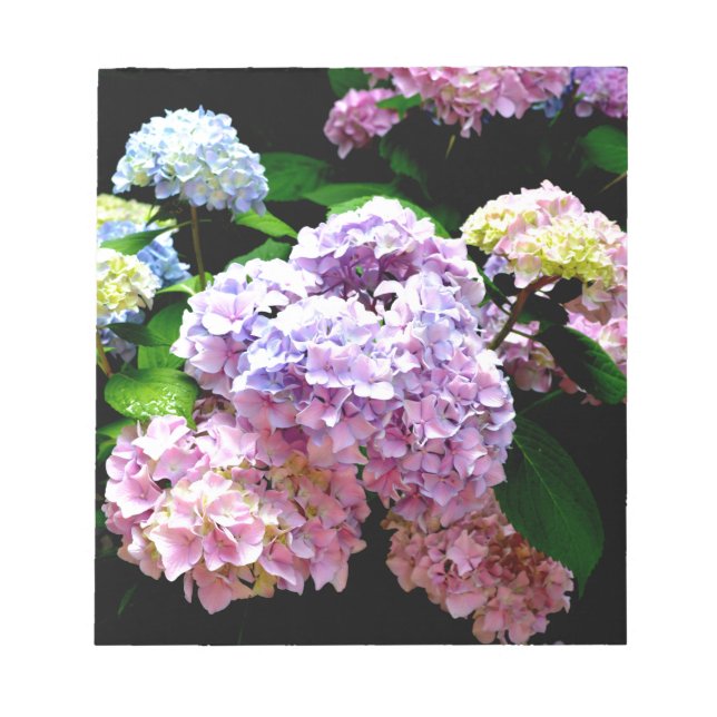 Hydrangea garden, pink, blue, purple floral notepad (Front)
