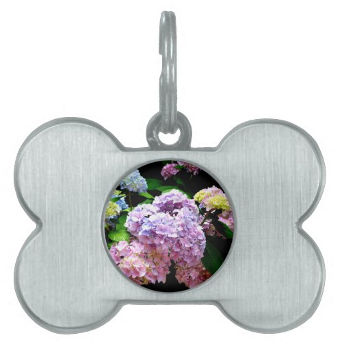 Hydrangea garden pink blue purple floral pet name tag