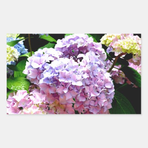 Hydrangea garden pink blue purple floral rectangular sticker