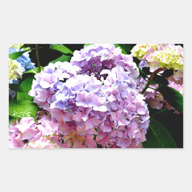 Hydrangea garden, pink, blue, purple floral rectangular sticker (Front)