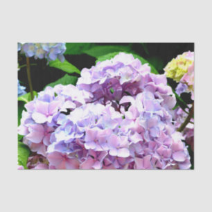 Hydrangea garden, pink, blue, purple floral tissue paper