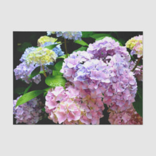 Hydrangea garden, pink, blue, purple floral tissue paper