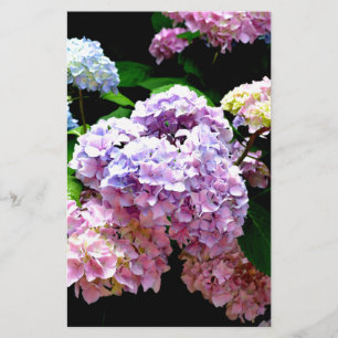 Hydrangea garden pink floral blue purple floral stationery