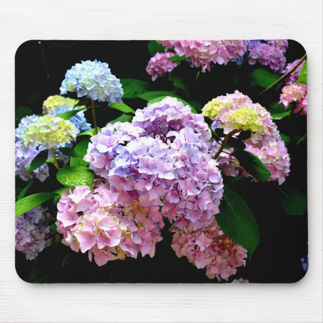 Hydrangea Gardens Mouse Pad (Front)