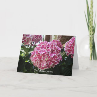 Hydrangea Get Well Card