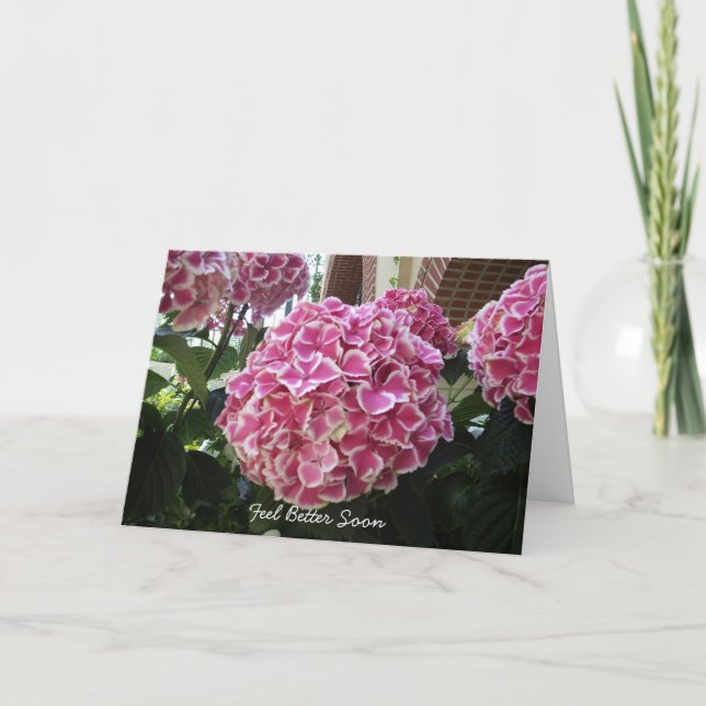 Hydrangea Get Well Card (Front)