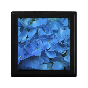 Hydrangea  gift box