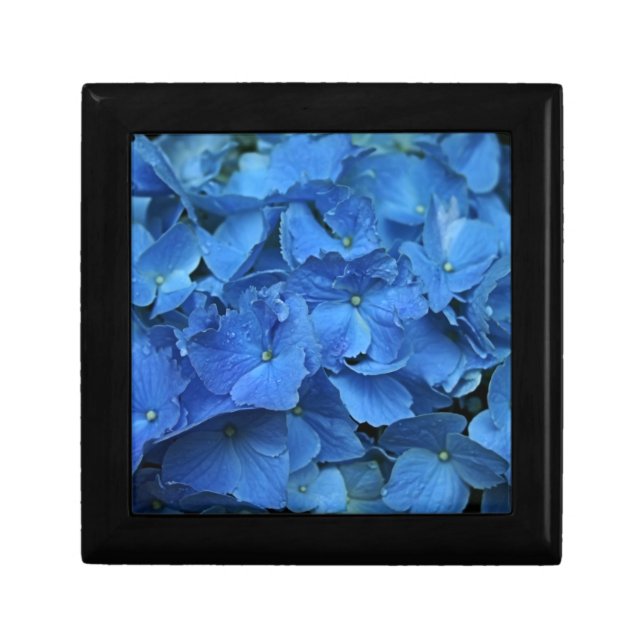 Hydrangea  gift box (Front)