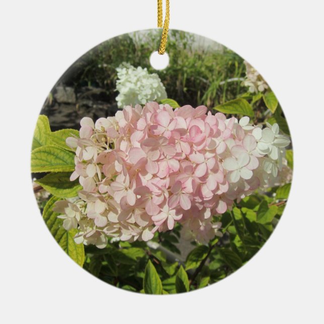 Hydrangea Grandiflora Ceramic Ornament (Front)