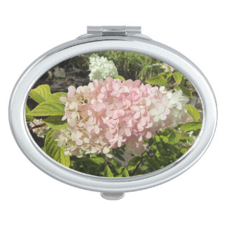 Hydrangea Grandiflora Compact Mirror