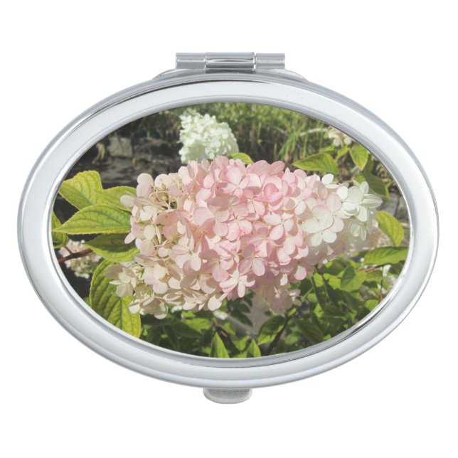 Hydrangea Grandiflora Compact Mirror (Front)