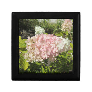 Hydrangea Grandiflora Gift Box