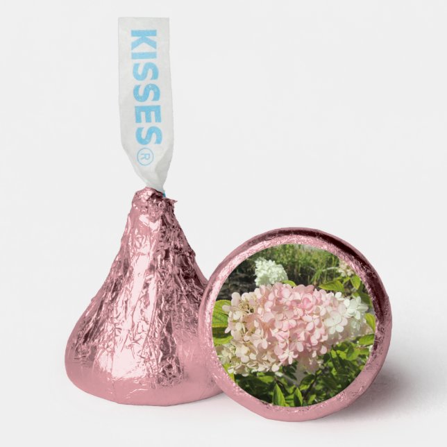Hydrangea Grandiflora Hershey®'s Kisses® (Front)