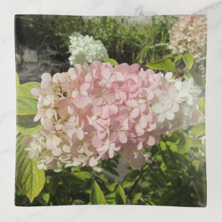Hydrangea Grandiflora Trinket Tray