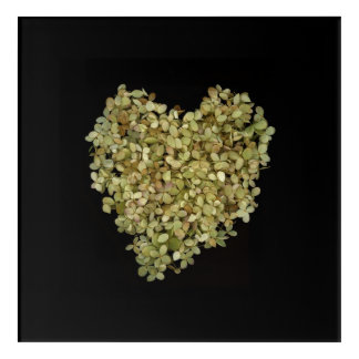 Hydrangea Heart Botanical Acrylic Print |Lovely2
