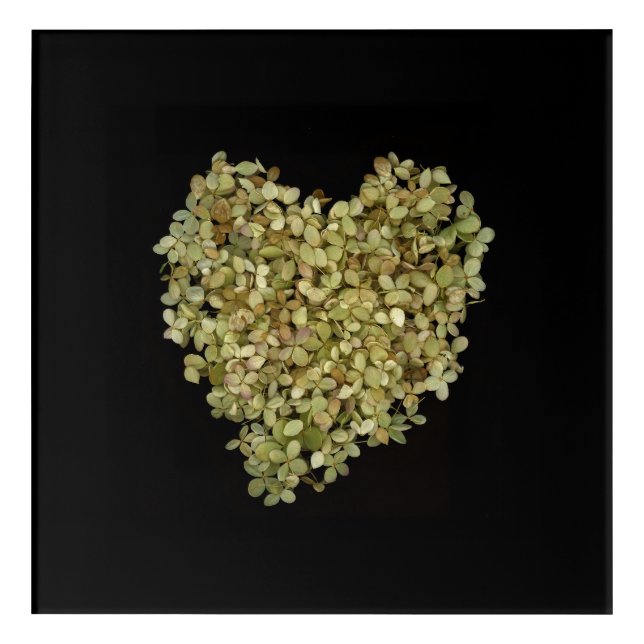 Hydrangea Heart Botanical Acrylic Print |Lovely2 (Front)