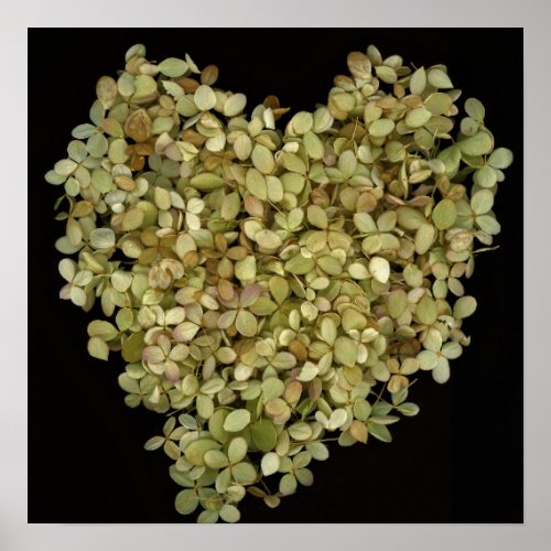 Hydrangea Heart Botanical Poster |Lovely2