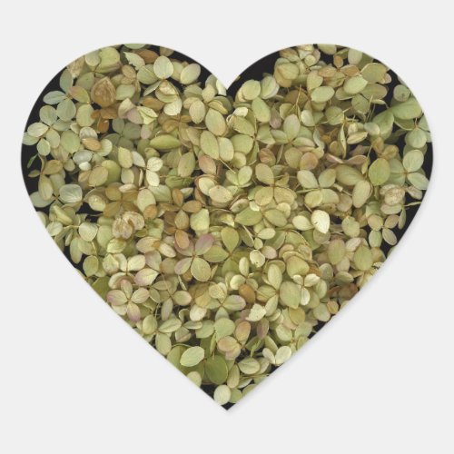 Hydrangea Heart Botanical Sticker |Lovely2