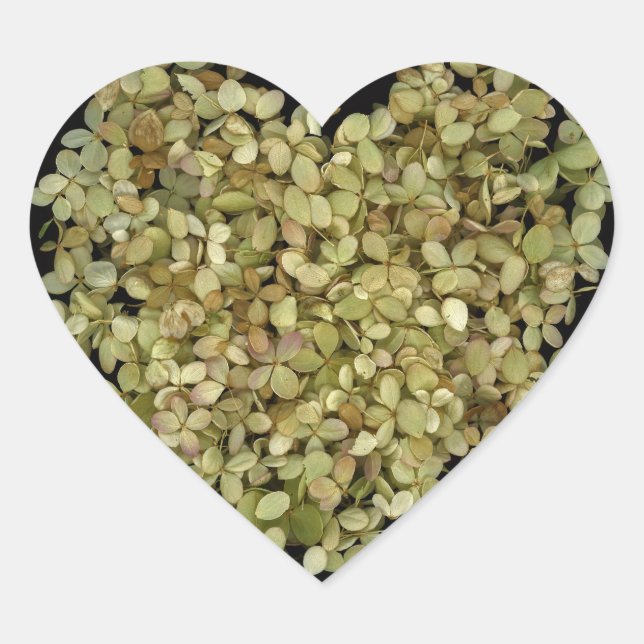 Hydrangea Heart Botanical Sticker |Lovely2 (Front)