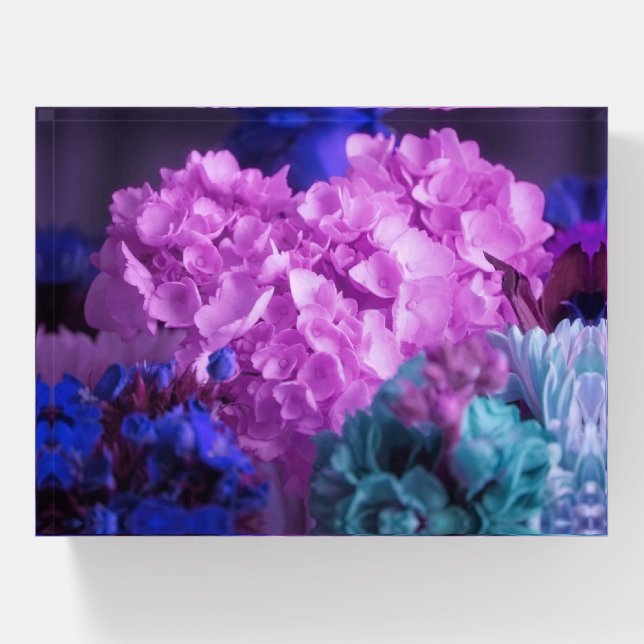 Hydrangea Heart Paperweight (Front)