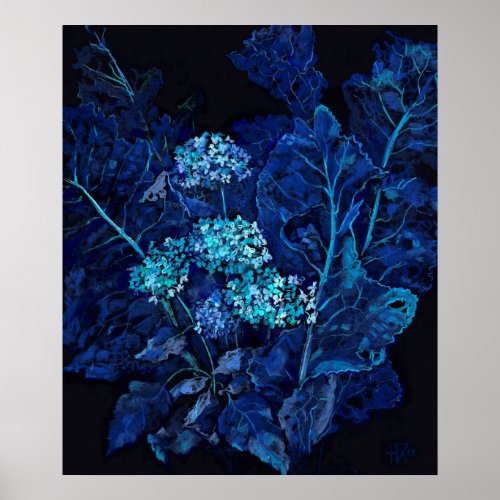 Hydrangea  Horseradish Floral Painting Black Blue Poster