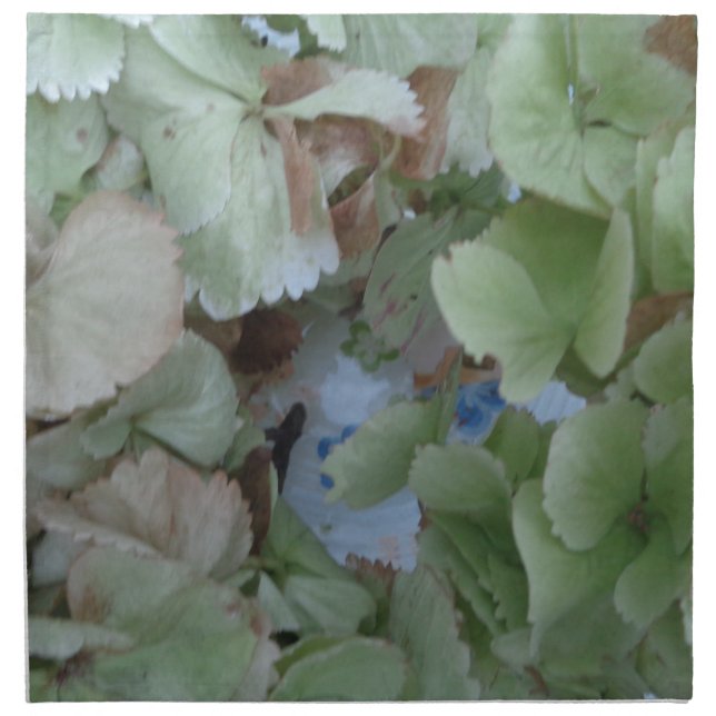 Hydrangea leaves napkin (Front)