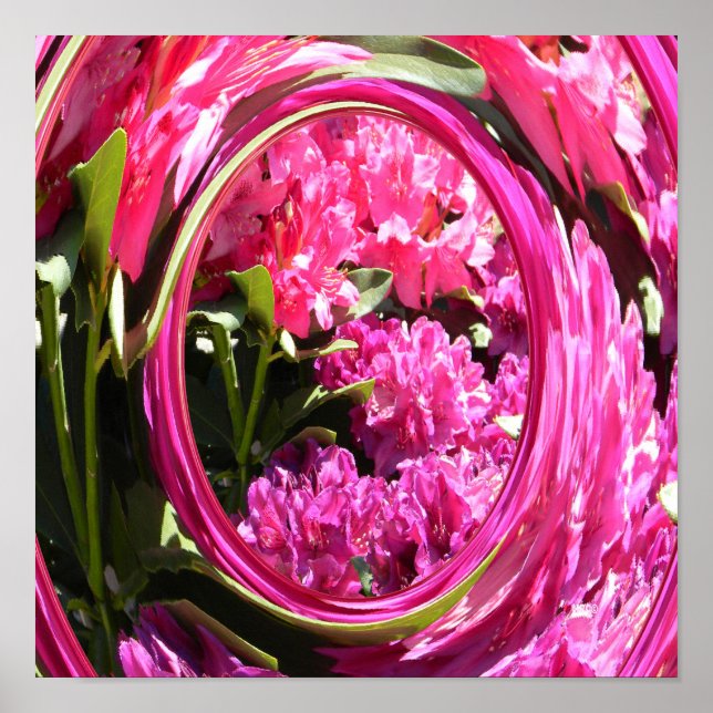 Hydrangea Love... Poster (Front)