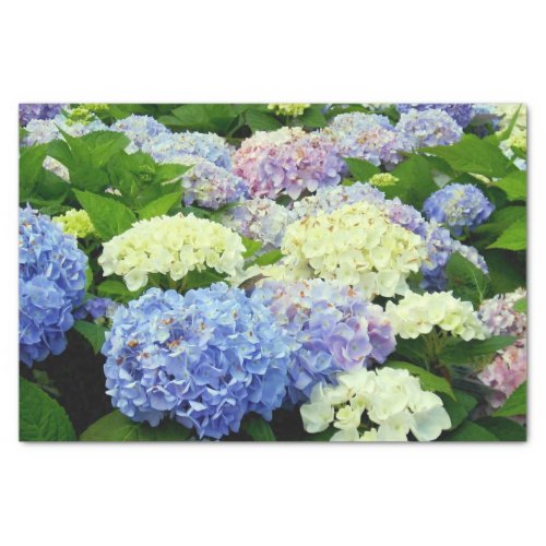 Hydrangea Mix_TISSUE WRAPPING PAPER