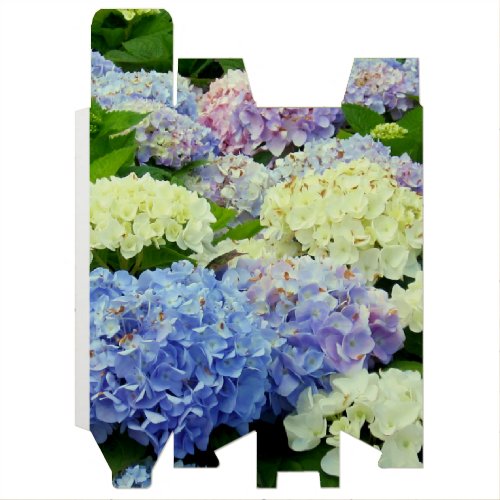 Hydrangea Mix_WINE GIFT BOX