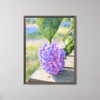 Hydrangea Morning Canvas Print
