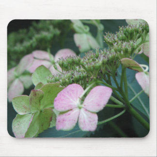 hydrangea mouse pad